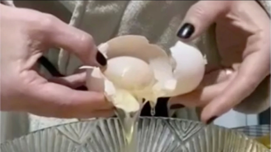 Galinha gigante bota ovo com outro ovo dentro e viraliza na internet